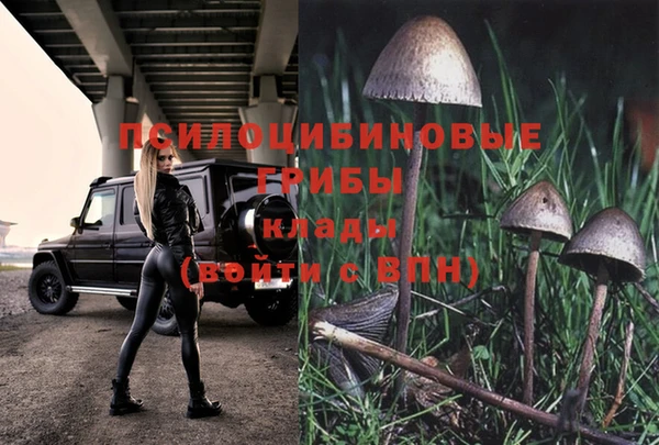 бутират Костерёво