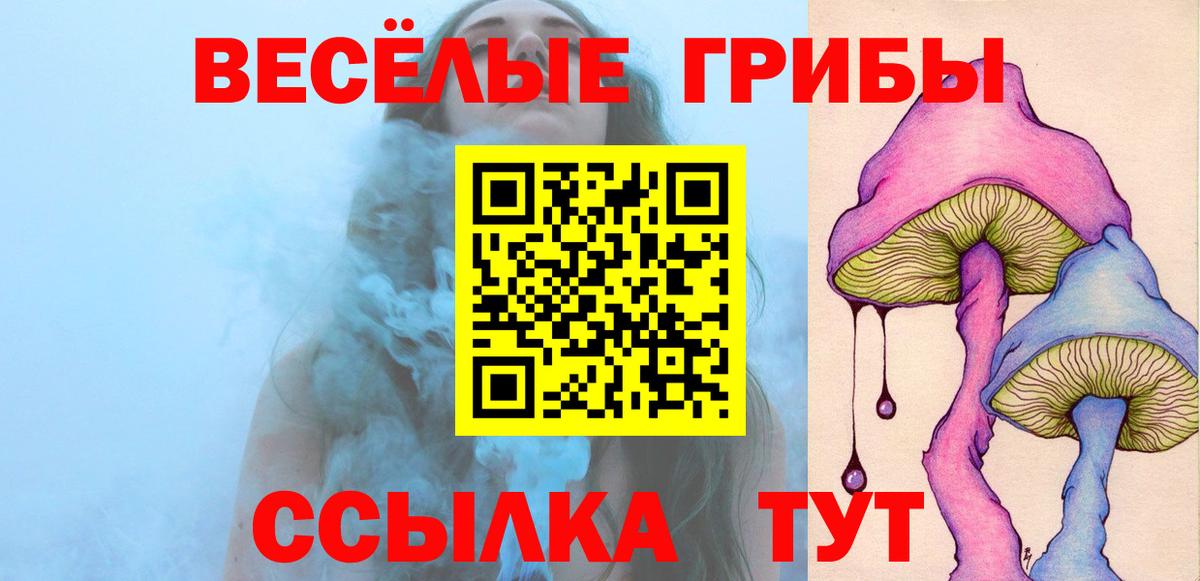 Галлюциногенные грибы Psilocybe  Вход с VPN  Галлюциногенные грибы мухоморы  Балаково 